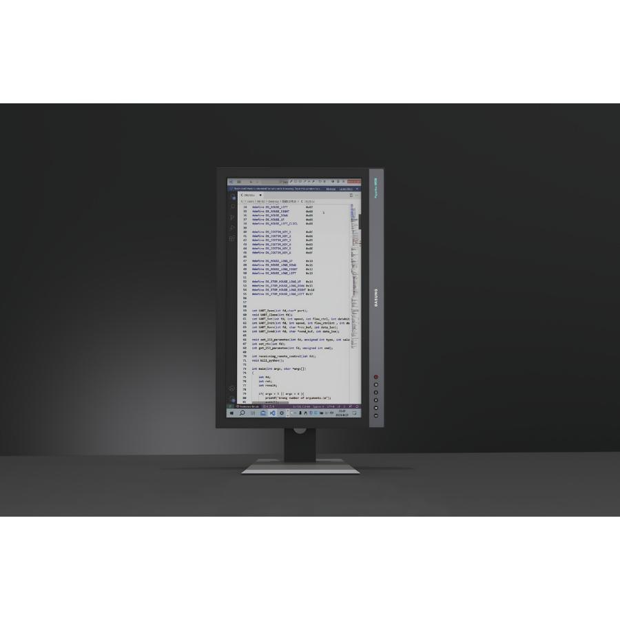 DASUNG DASUNG253C REVO 25.3インチ カラー電子ペーパーモニター 33Hz