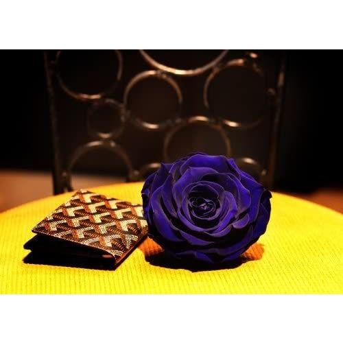 買取オンライン メッセージフレーム 通販 花言葉 可能性 枯れない青いバラ プリザーブドフラワー ご希望のメッセージを刻印してスピーディーにお届け Yahoo ショッピング スカイフォース 3 5年楽 正規品販売中 Zap Kempkes De