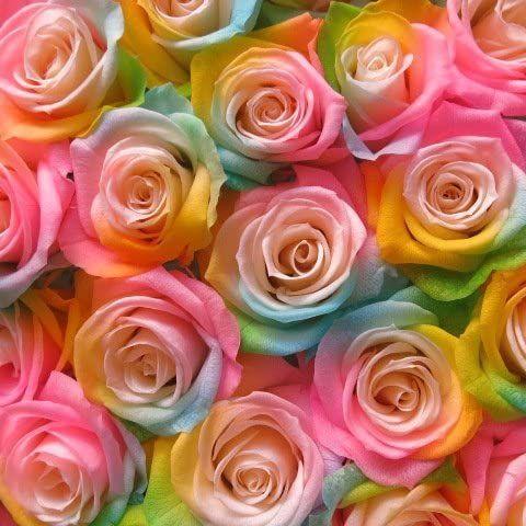 22年製 新品 レインボーローズ ブーケ ウェディング フワフワ カワイイ ブーケ アートフラワー プリザーブドフラワー ブーケ プリザーブドフラワー Www Imgstone Net