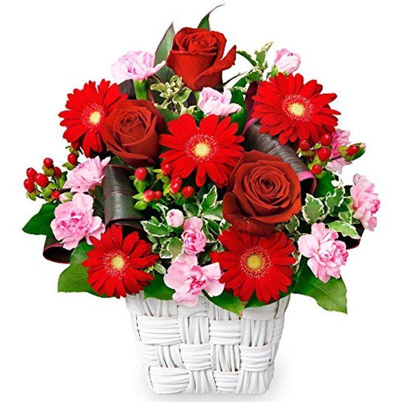18 Off プレゼン 記念日 お祝い 誕生日 花キューピット Ya12 12月の誕生花 赤バラ 赤バラと赤ガーベラのスクエアバスケット 生花 Www Solidarite Numerique Fr