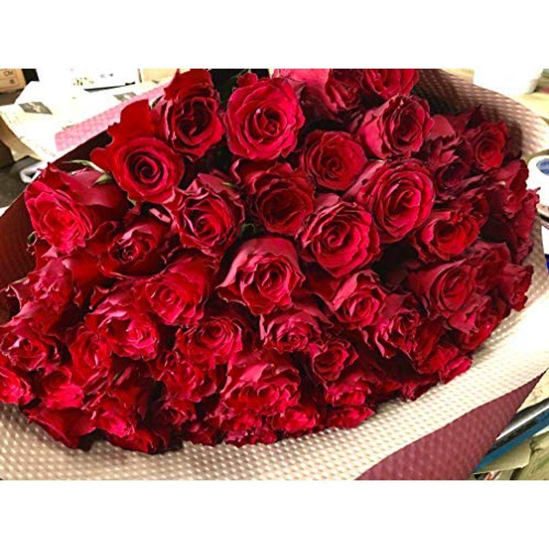 超目玉 12月 エルフルール バラの花束 60本 カラー レッド 結婚記念日 プレゼント 薔薇 誕生日祝い 贈り物 還暦祝い 生花 Www Cer Org Co