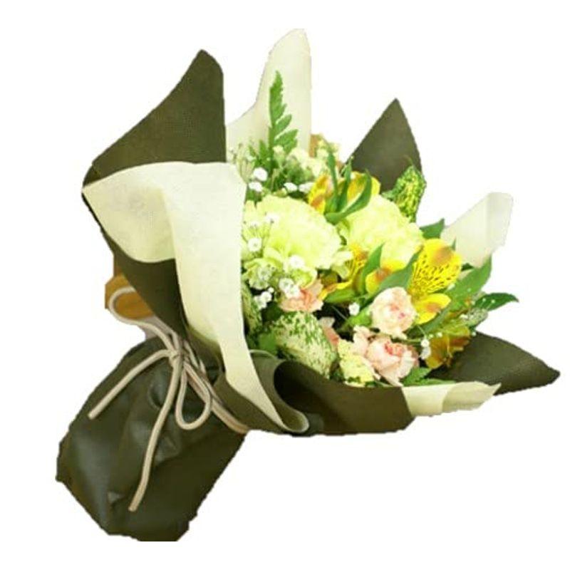 誕生日 生花 花束 グリーンカーネーションと季節のお花のブーケ Fl Fd 28 花束 切花 Bollywoodpapa Com