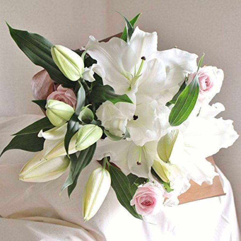 10 Off ギフト花束 生花 カサブランカ 生花 Sementesquality Com Br
