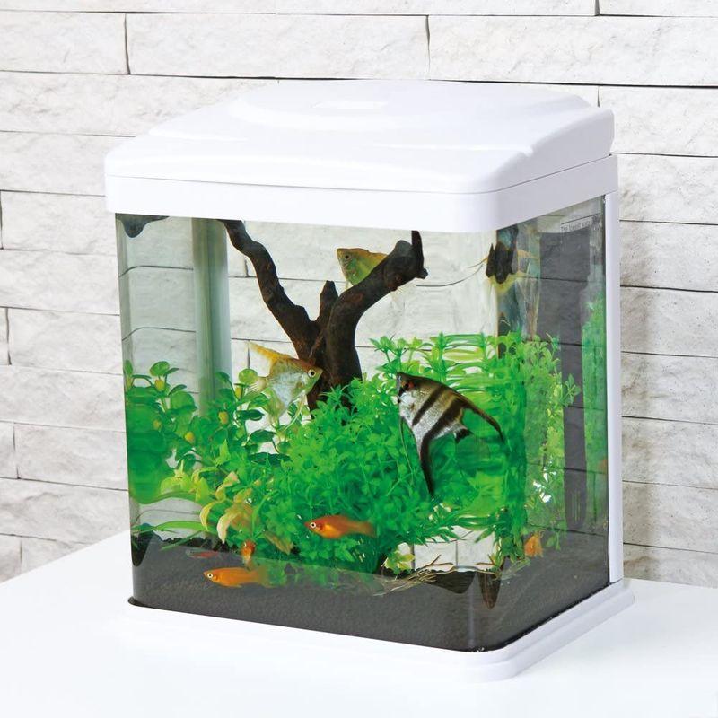 超目玉価格 ニッソー ルームメイト238 ホワイト Nwr 028 スカイフォース 通販 Yahoo ショッピング 販売の事前割引 Www Sipp Pn Batam Go Id