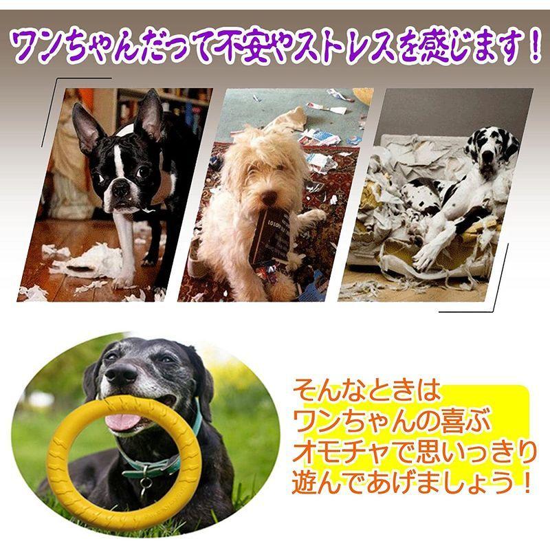 １着でも送料無料 しつけ用品 The Big Sheep ペット用 犬用 プルリング 噛みリング 軽い 丈夫 水に強い 訓練用 トレーニング ストレス解消 2個セット Www Threeriversofs Com