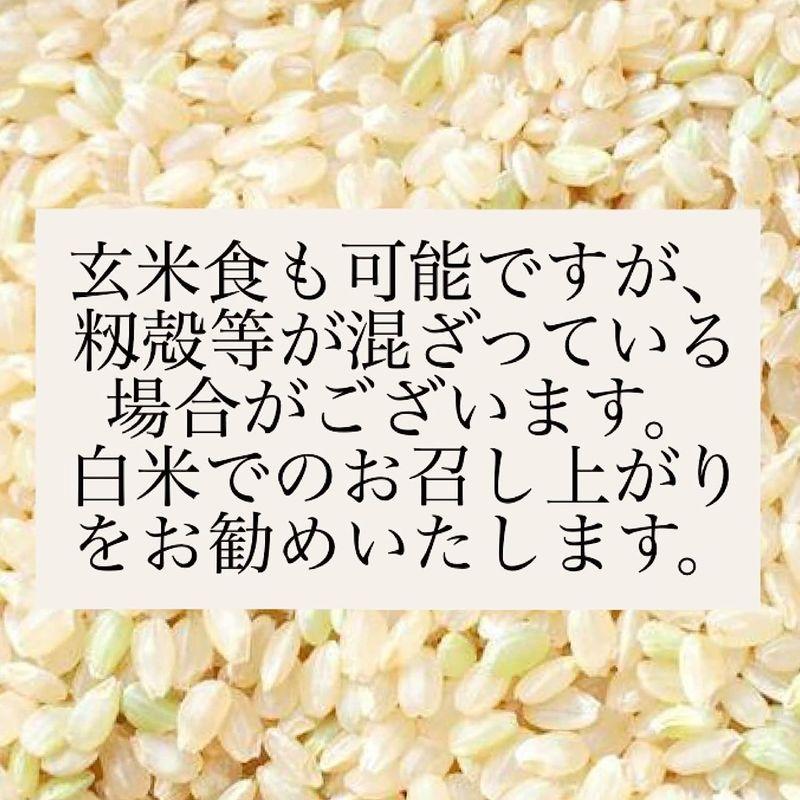 新米 令和5年 埼玉県産 コシヒカリ 玄米 30kg