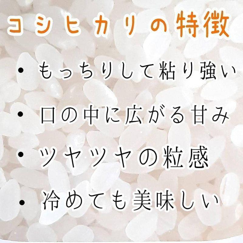 新米 令和5年 埼玉県産 コシヒカリ 玄米 2kg