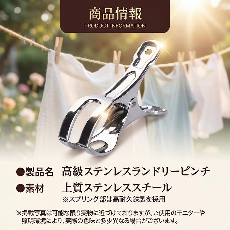洗濯ばさみ ステンレス 10個 15個 セット 割れにくい 壊れにくい