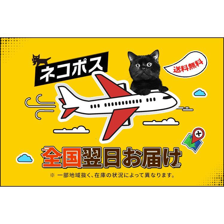 在庫処分 子供用マスク 洗える 10枚セット 子供 マスク こども 子ども