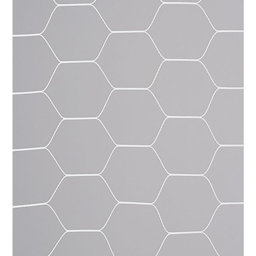 エバニュー Ｅｖｅｒｎｅｗ フットサルネット亀甲F105 EKD861