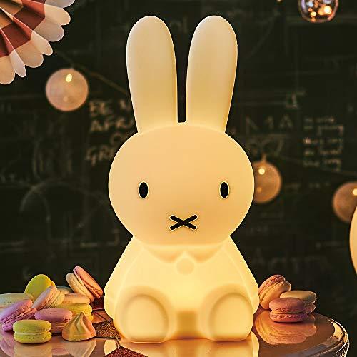 firstlightmiffyルームライトミッフィーファーストライトH52601 firstlightmiffyルームライトミッフィーファーストライトH52601