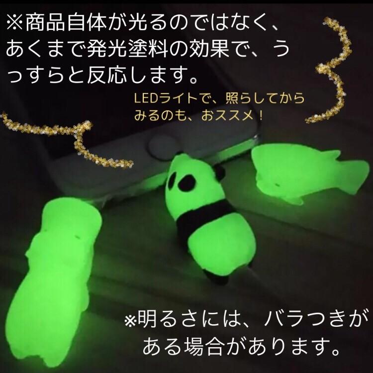 光る ケーブルバイト 充電器 CABLE BITE 断線予防 アニマルプロテクター 夜光 メール便 送料無料 ギフト プレゼント|sky-to-sun|06