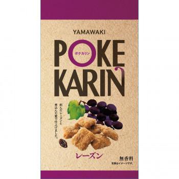 1335円 送料無料でお届けします 山脇製菓 ポケカリン レーズン 50g 16袋