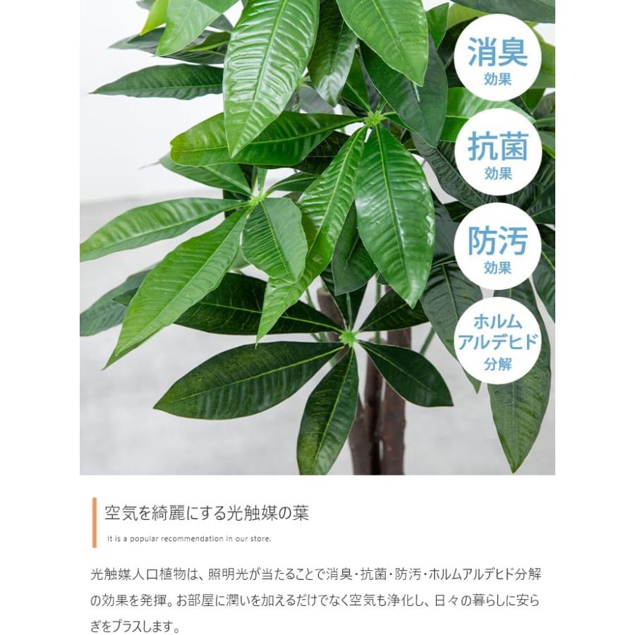 フェイクグリーン リアル 大型 光触媒 人工観葉植物 室内 風水 インテリア 卓上 消臭 カポック 大きい 観葉植物 フェイク お祝い 鉢 玄関 スリム_3