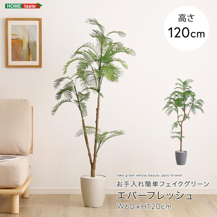 フェイクグリーン 観葉植物 エバーフレッシュ リアル 鉢付き おしゃれ