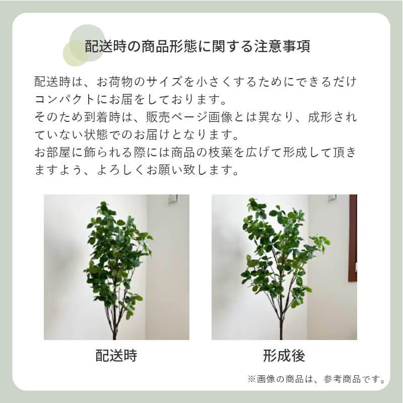 フェイクグリーン リアル 人工観葉植物 カボックツリー 室内 風水 インテリア 卓上 126cm 大きい 観葉植物 フェイク お祝い 鉢 玄関 スリム｜sky0815shop｜13