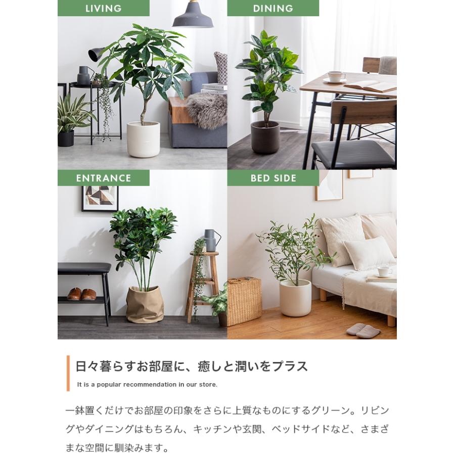 フェイクグリーン リアル 光触媒 人工観葉植物 室内 風水 フェイクグリーン リアル 光触媒 人工観葉植物 室内 風水