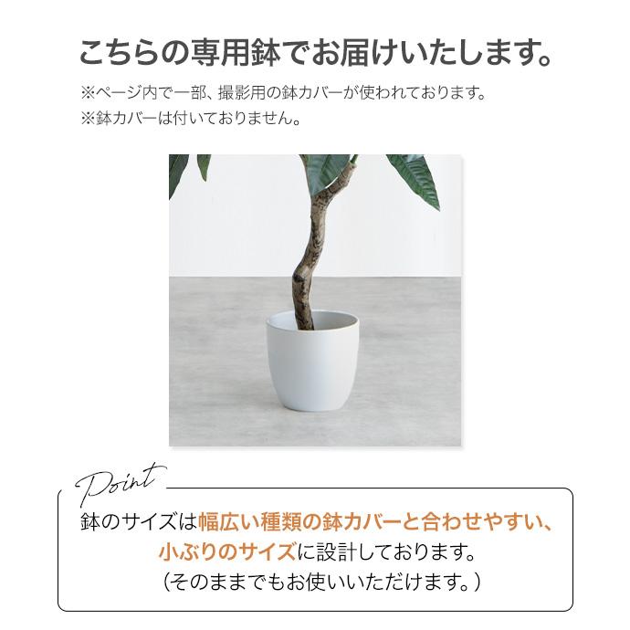 フェイクグリーン リアル 光触媒 人工観葉植物 室内 風水 インテリア