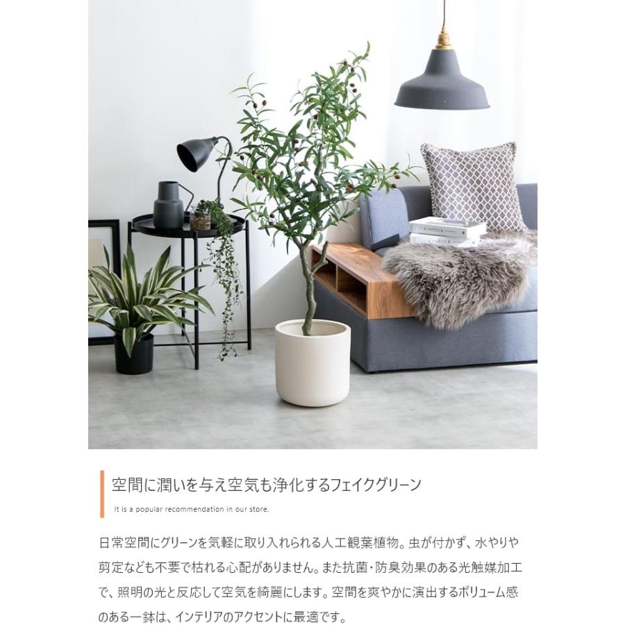 フェイクグリーン リアル 光触媒 人工観葉植物 室内 風水