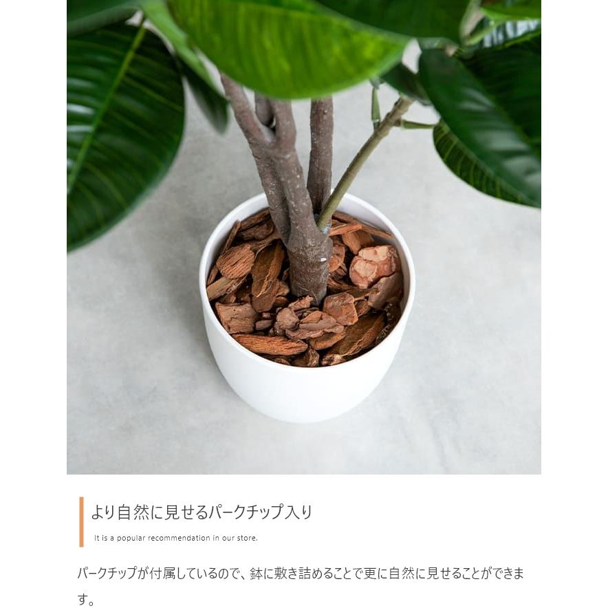 フェイクグリーン リアル 光触媒 人工観葉植物 室内 風水 インテリア