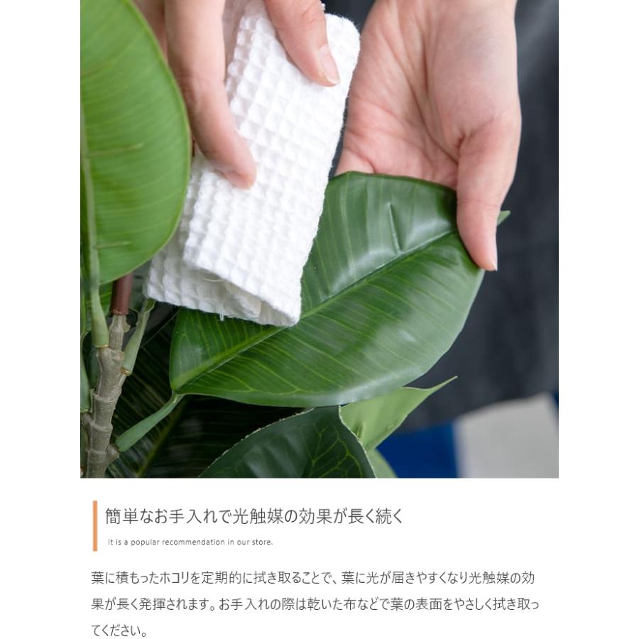 フェイクグリーン リアル 光触媒 人工観葉植物 室内 風水 インテリア