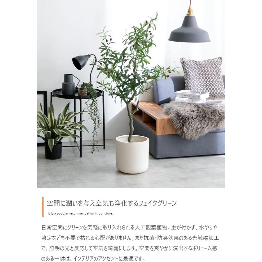 フェイクグリーン リアル 光触媒 人工観葉植物 室内 風水 フェイクグリーン リアル 光触媒 人工観葉植物 室内 風水