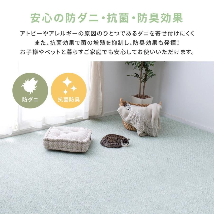 ラグ カーペット 冬 江戸間 4.5畳 撥水 防音 防ダニ ペット 防炎 ラグ カーペット 冬 江戸間 4.5畳 撥水 防音 防ダニ ペット 防炎