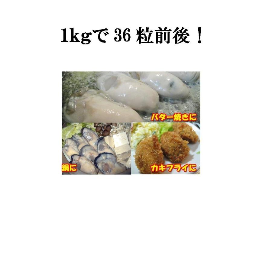 牡蠣 かき カキ 冷凍 特大 2LからLサイズ 1kg 剥き身 広島産｜skyandblue｜04