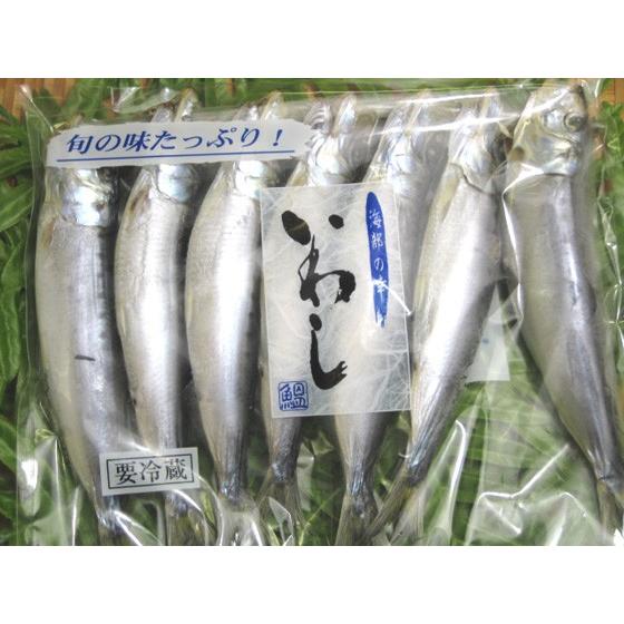 国産 いわし丸干し 5から8尾 : 海産物 スカイ&ブルー - 通販 - Yahoo