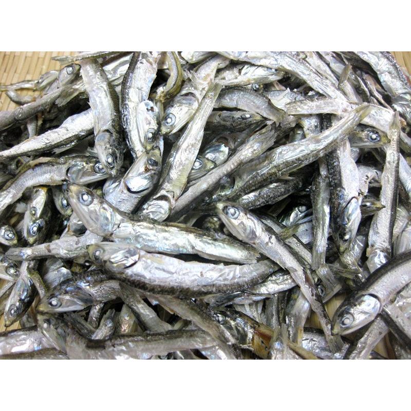 山口県周防大島産！極上！【大羽 いりこ】1kg（500g×2袋）！煮干し