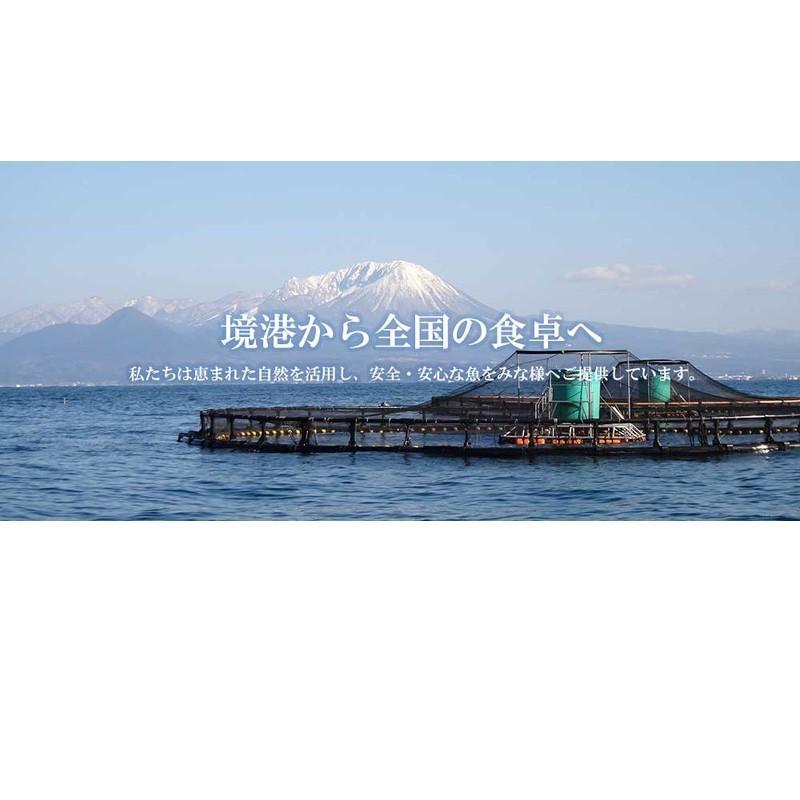 鳥取県境港産 甘塩銀鮭 切り身 10切れ :sk-151:海産物 スカイブルー - 通販 - Yahoo!ショッピング 鳥取県境港産 甘塩銀鮭 切り身 10切れ :sk-151:海産物 スカイブルー - 通販 - Yahoo!ショッピング