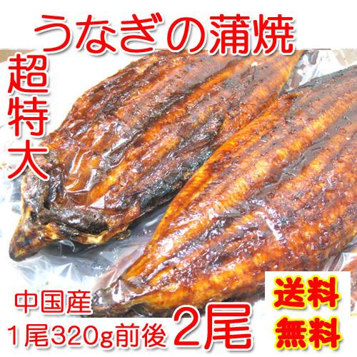 超特大 うなぎの蒲焼 2尾セット（2尾で640g） 中国産 ご家庭用 