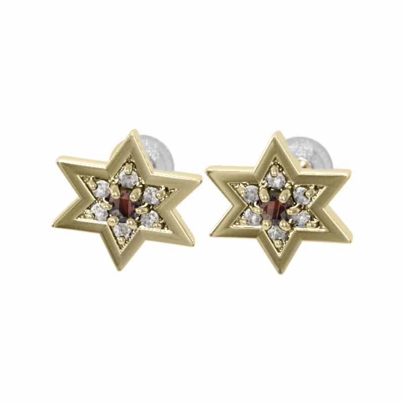 ガーネット ジュエリーピアス 六芒星 1月誕生石 18金イエローゴールド スター 小サイズの画像