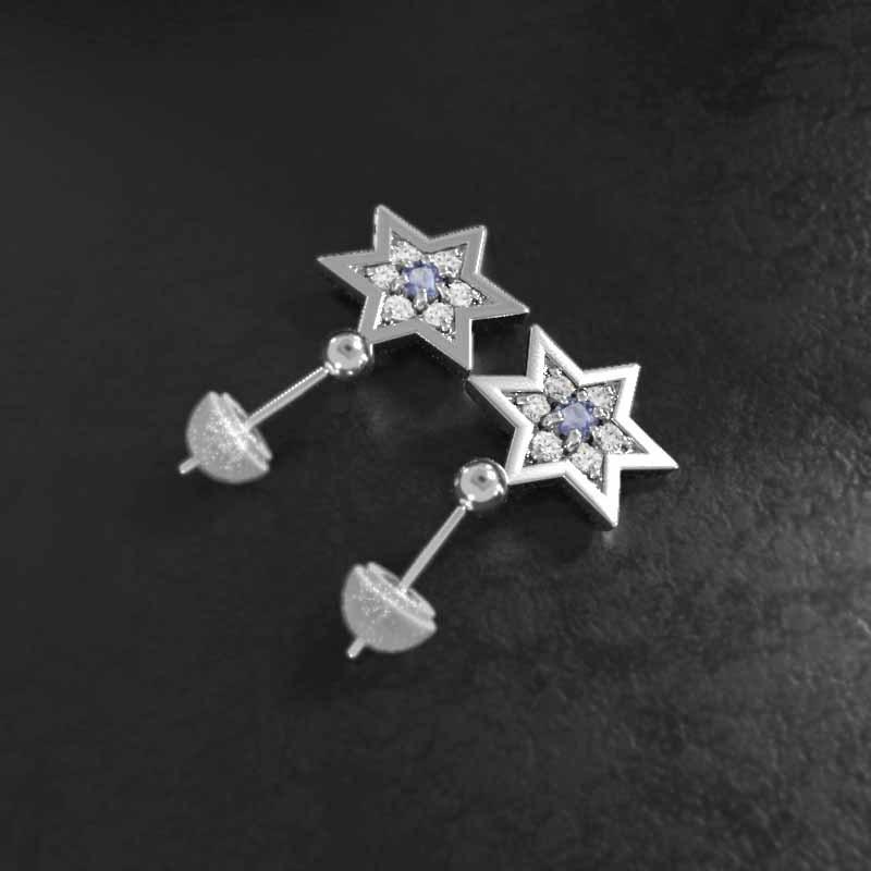 ピアス 中サイズ 12月誕生石 六芒星 18金ホワイトゴールド タンザナイト スターの画像