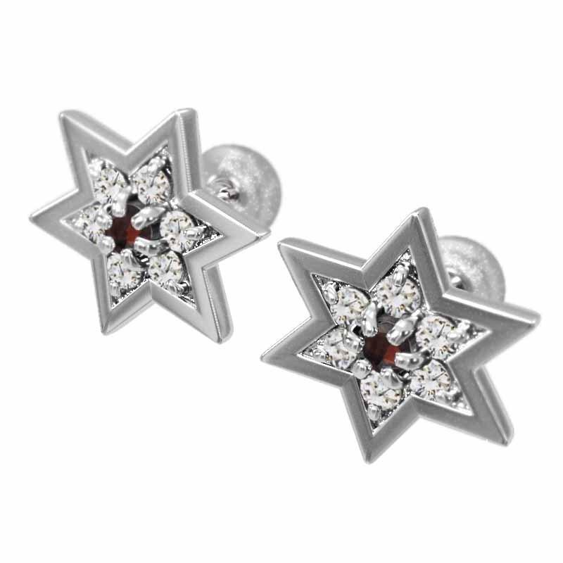 ガーネット プラチナ900 1月の誕生石 スター ジュエリーピアス 六芒星 大サイズの画像