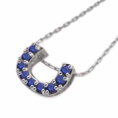 馬蹄 Pt900 ペンダントトップとネックレス 9月の誕生石 中サイズ サファイヤの画像