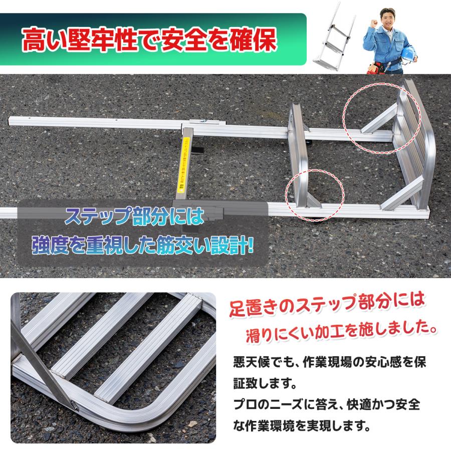 2台セット 左右手すり付 2段調節可能なトラックステッパー ワイド
