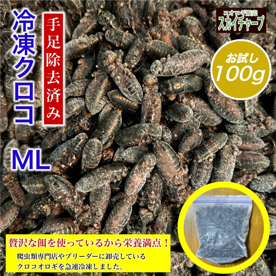 (冷凍クロコML,100g) 冷凍コオロギ イエコ クロコ ミックス 餌 増量 送料無料 ML L 50g 100g メガ スカイチャープ カナヘビ トカゲ餌 ヤモリ カエル えさ 餌用（Yahoo!・スカイチャープ）