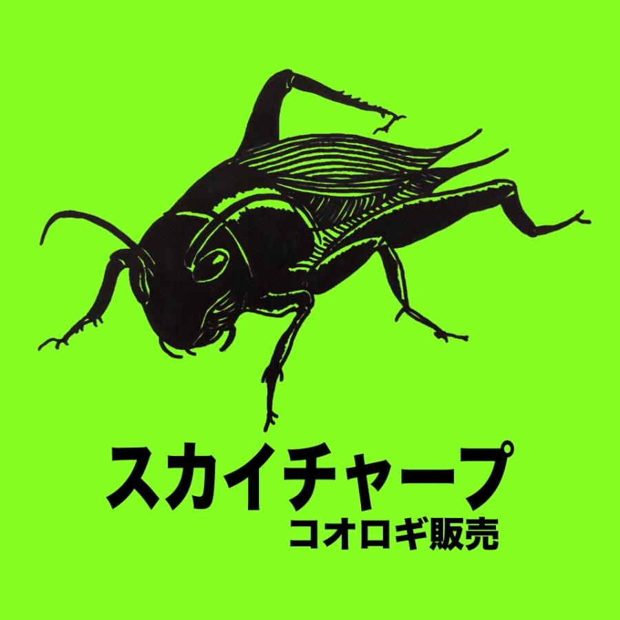 冷凍クロコML,100g) 冷凍コオロギ イエコ クロコ ミックス 餌 増量