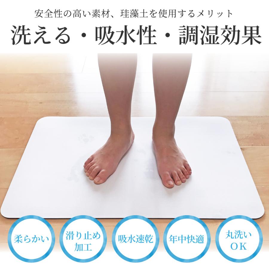珪藻土バスマット バスマット 2枚セット ソフト やわらかい 洗える