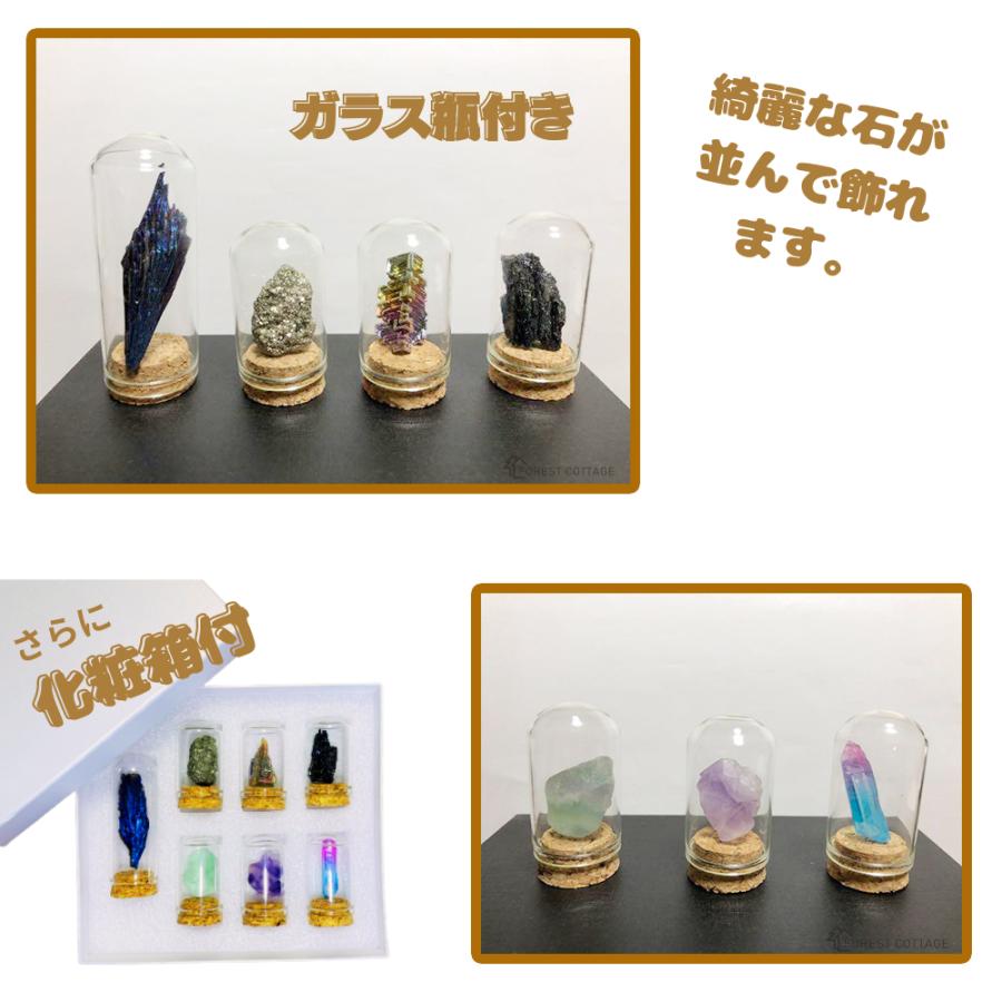 原石 岩石標本 天然石 7点セット 鉱物 鉱石 標本 化石 置物 ガラスカバー 瓶 防塵 置物 オーナメント 展示 標本ボックス コレクション 装飾品 アメジスト 人気 |  | 01