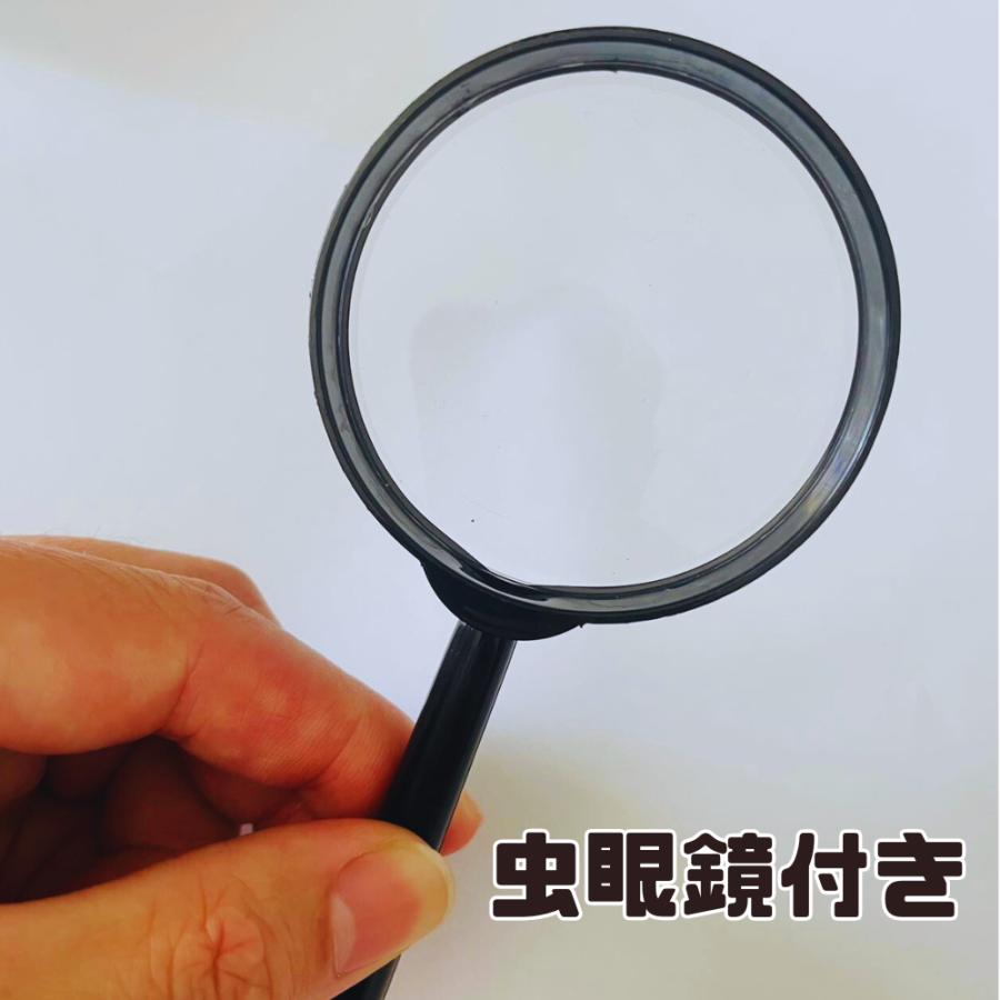 原石 岩石標本 天然石 7点セット 鉱物 鉱石 標本 化石 置物 ガラスカバー 瓶 防塵 置物 オーナメント 展示 標本ボックス コレクション 装飾品 アメジスト 人気 |  | 05