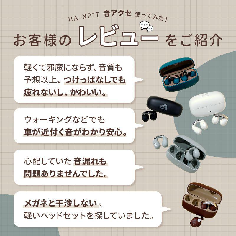 JVCケンウッド HA-NP1T-GN JVC KENWOOD ビクター Victor