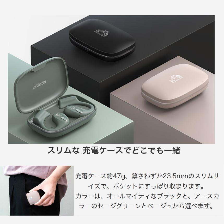 JVCケンウッド HA-NP50T-G KENWOOD ビクター Victor nearphones