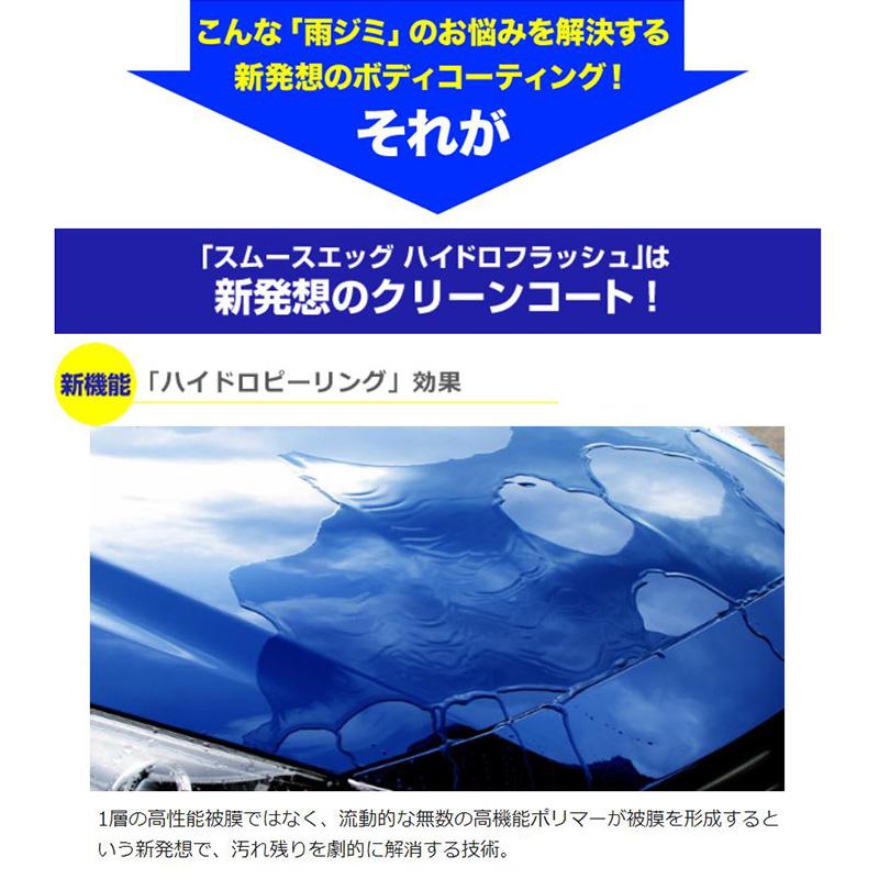 ソフト99 00521 SOFT99 スムースエッグ ハイドロフラッシュ 230ml 専用