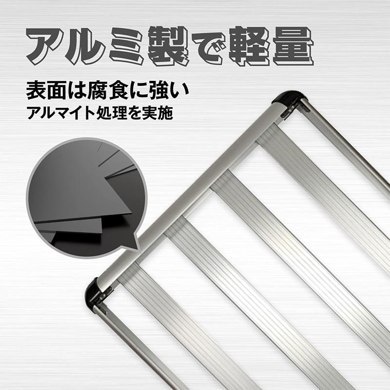 TERZO EA303B テルッツオ テルッツォ ルーフラック レギュラー LOOF