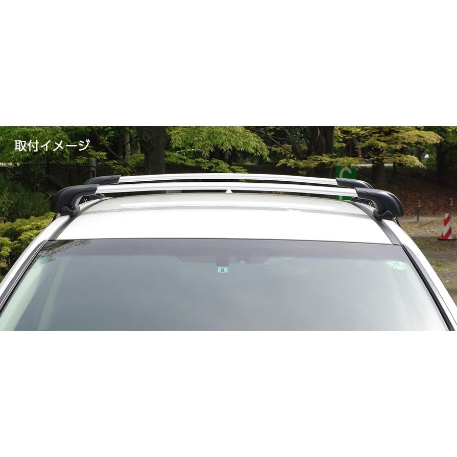 EB116A TERZO テルッツオ テルッツォ システムキャリア用エアロバー 