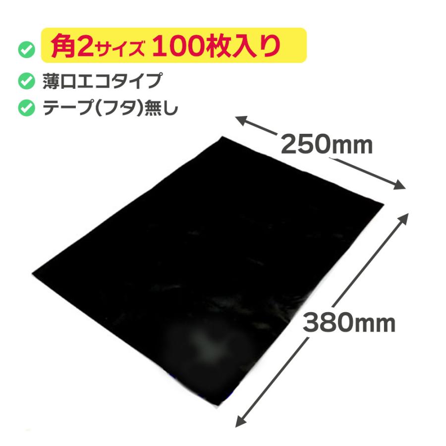 宅配袋 黒 ビニール 封筒 エコ 角形2号 100枚 宅配 通販 袋 透け