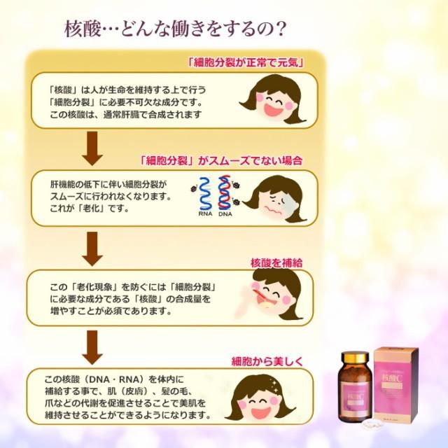 核酸Cゴールド 360粒 サプリメント 健康補助食品 DNA RNA 核酸補給 