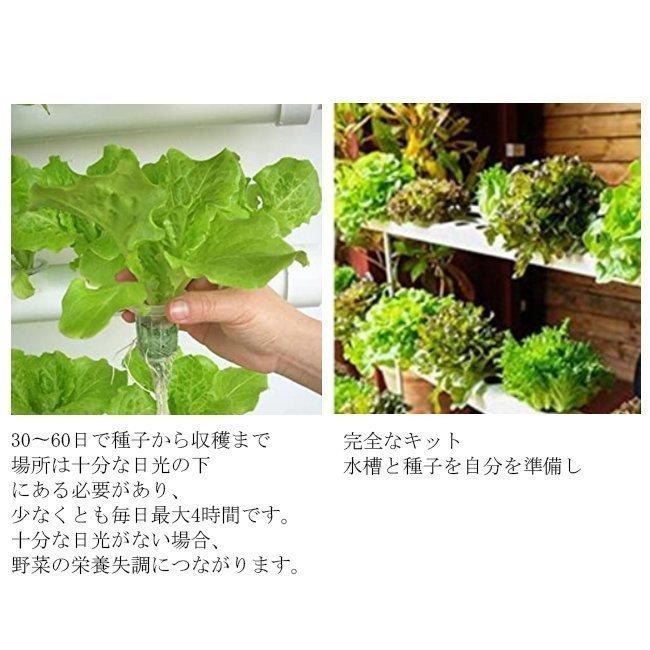 水耕栽培キット 水耕栽培 植物 野菜用具 植物育成 家庭菜園 室内 ベランダ 水耕栽培セット 108穴 Gua 099 Skyhomeストア 通販 Yahoo ショッピング